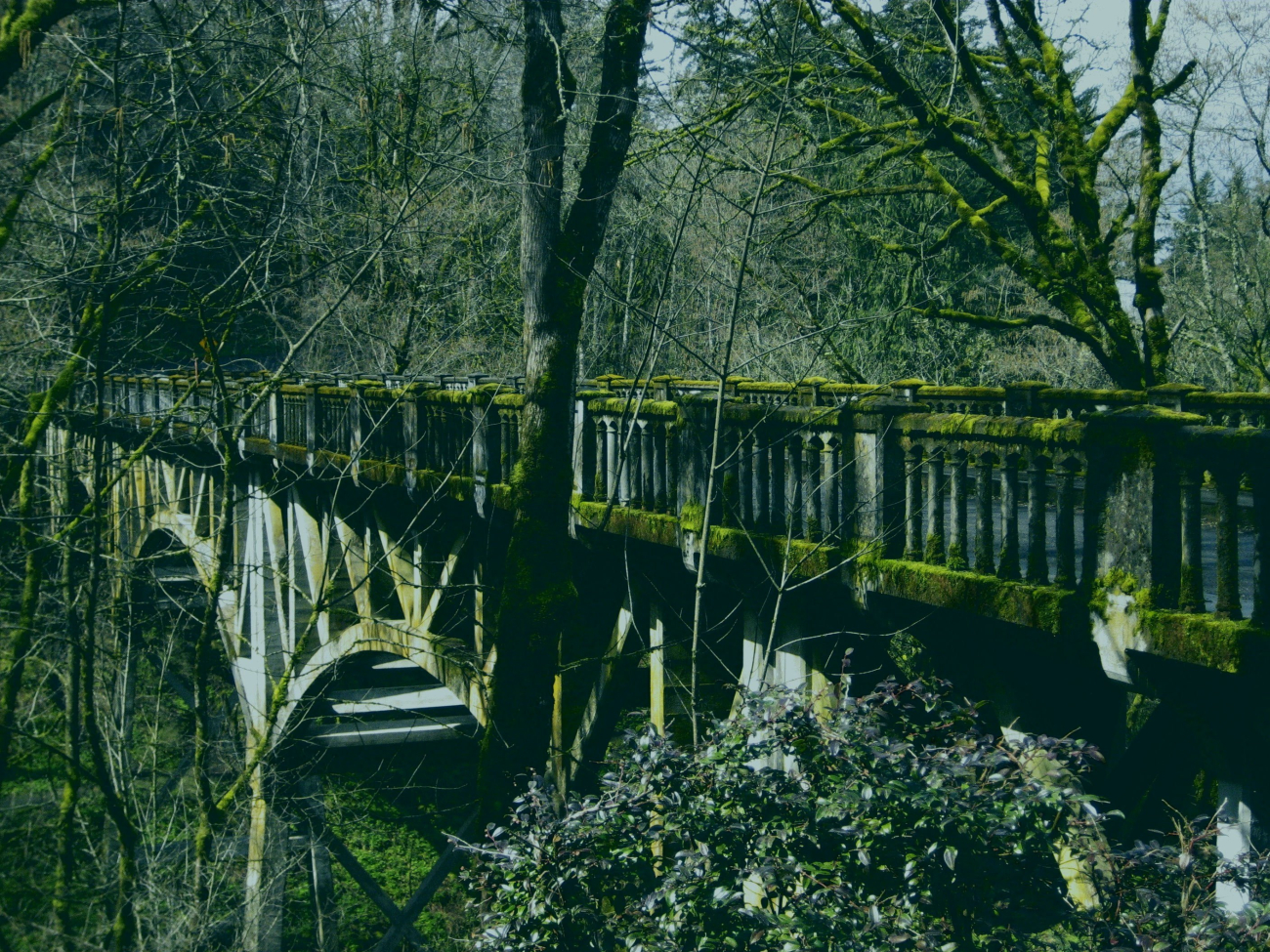 The old highway bridge at Multnomah Falls covered in moss (Image credit: Michael Theberge) The old highway bridge at Multnomah Falls covered in moss