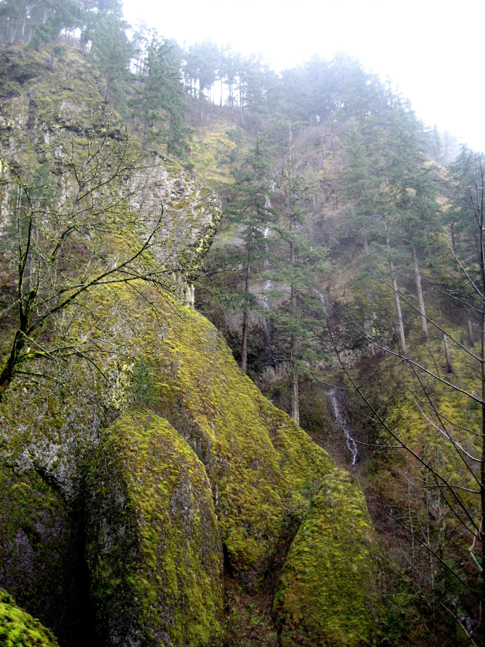 Ribbon-like waterfalls cascading down the sides of the Columbia River gorge
