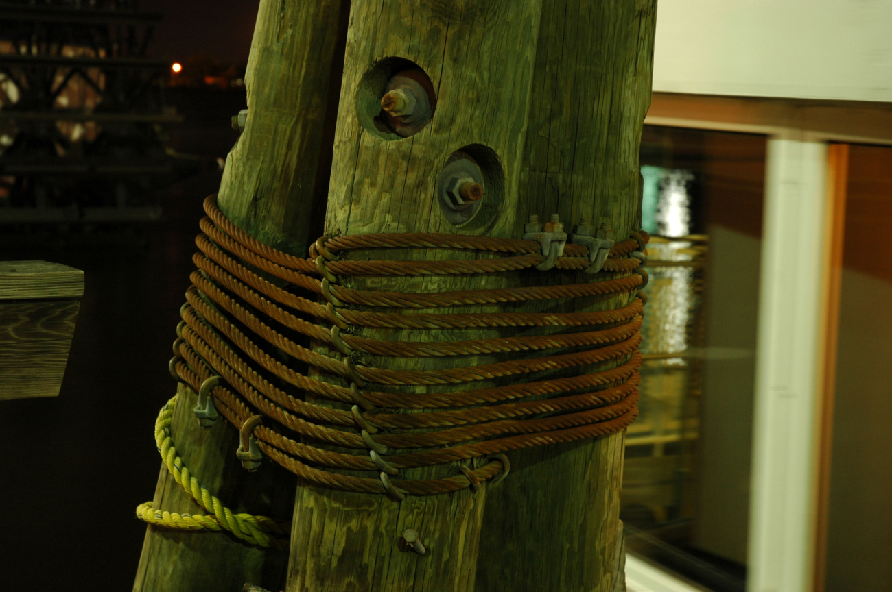 A dolphin secured by wire line at the Staten Island Coast Guard piers