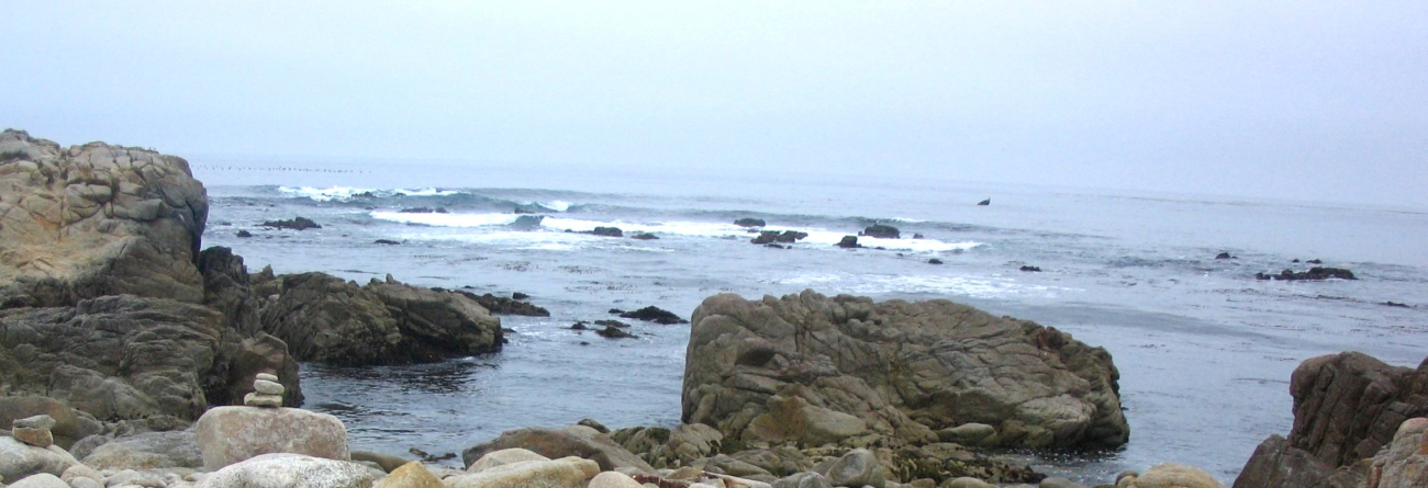 A vista of rock and surf (Image credit: Dr. Dwayne Meadows) A vista of rock and surf