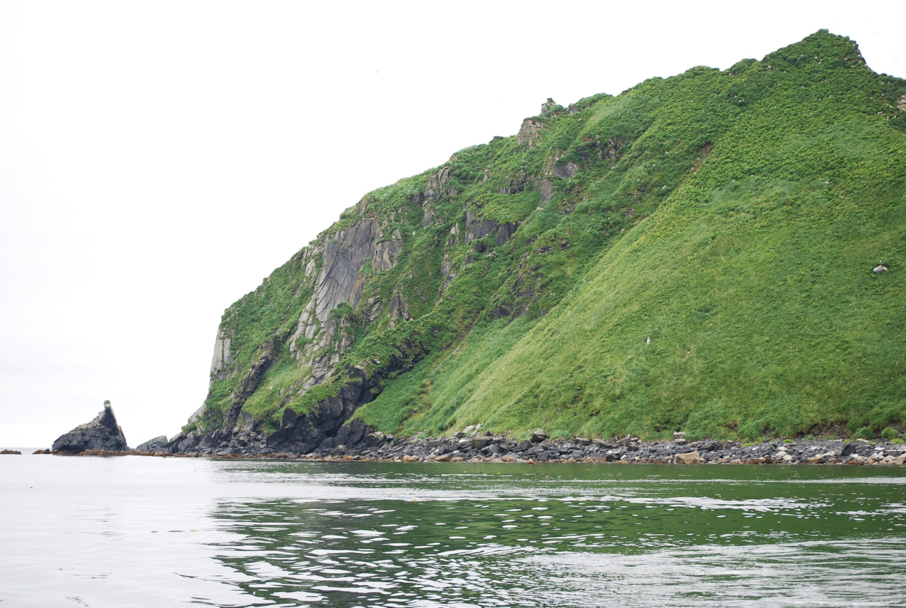 The white specks in the green are sea birds seen on Big Koniuji Island (Image credit: Ensign Patricia Raymond) The white specks in the green are sea birds seen on Big Koniuji Island