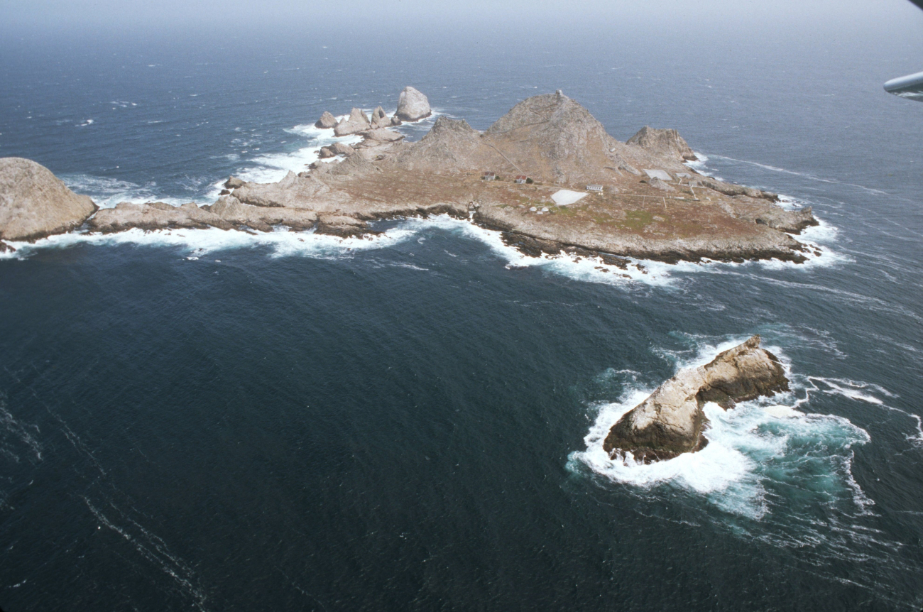 Aerial views of the wind-swept sea-swept Farallons, a virtual wilderness lessthan thirty miles from downtown San Francisco (Image credit: Common Murre Restoration Project, USFWS) Aerial views of the wind-swept sea-swept Farallons, a virtual wilderness lessthan thirty miles from downtown San Francisco