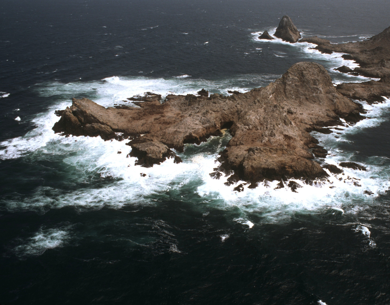 Aerial views of the wind-swept sea-swept Farallons, a virtual wilderness lessthan thirty miles from downtown San Francisco (Image credit: Common Murre Restoration Project, USFWS) Aerial views of the wind-swept sea-swept Farallons, a virtual wilderness lessthan thirty miles from downtown San Francisco