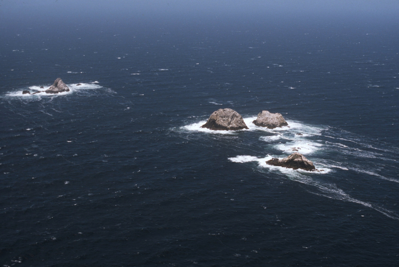 Aerial views of the wind-swept sea-swept Farallons, a virtual wilderness lessthan thirty miles from downtown San Francisco