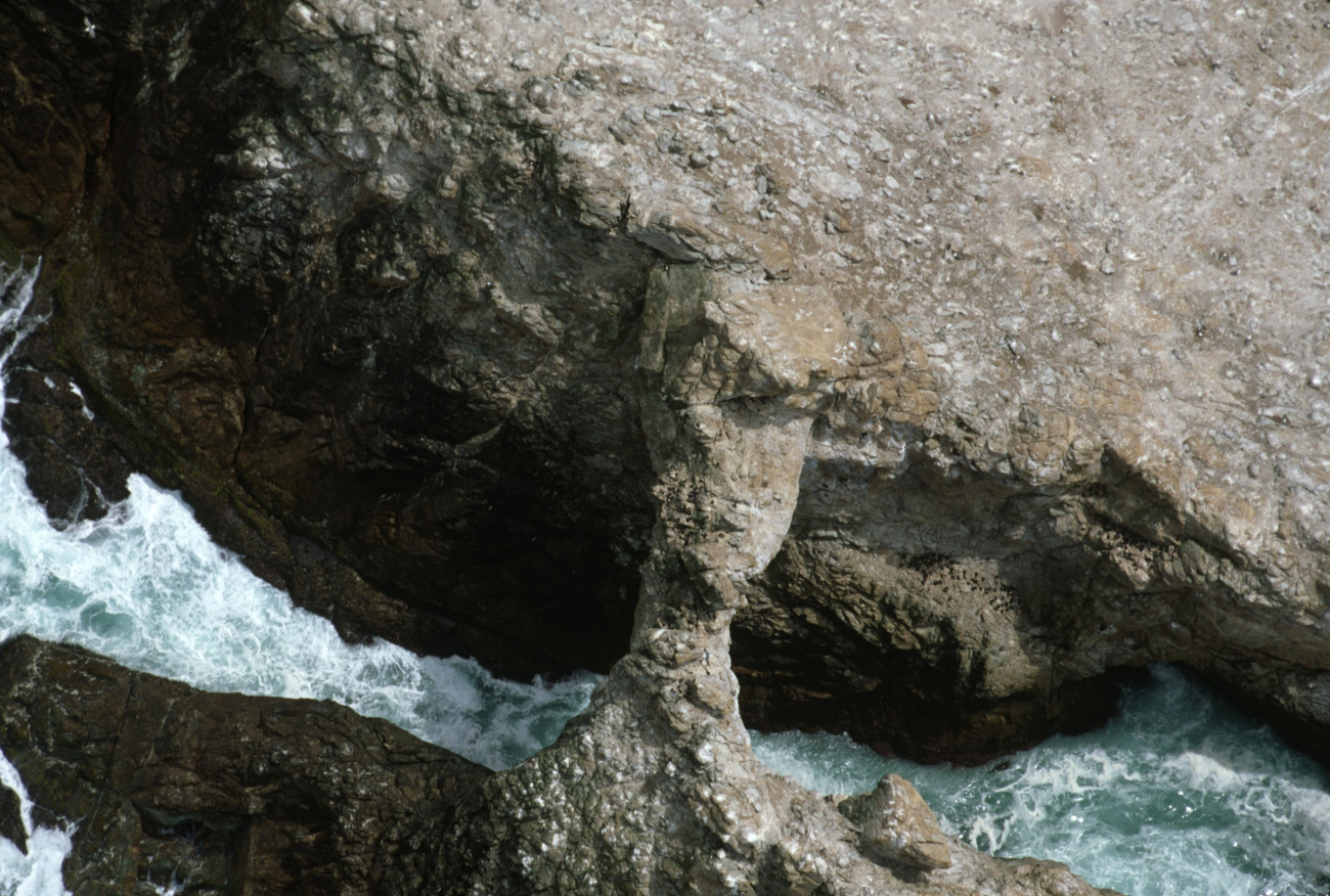 The Great Arch of the Farallons sculpted by the relentless sea (Image credit: Common Murre Restoration Project, USFWS) The Great Arch of the Farallons sculpted by the relentless sea