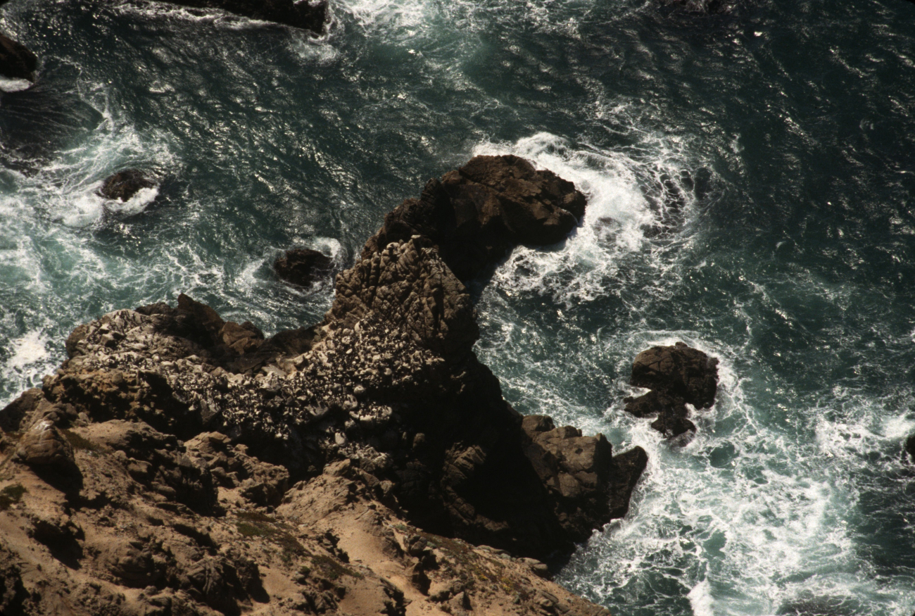 Boulder Rock (Image credit: Common Murre Restoration Project, USFWS) Boulder Rock