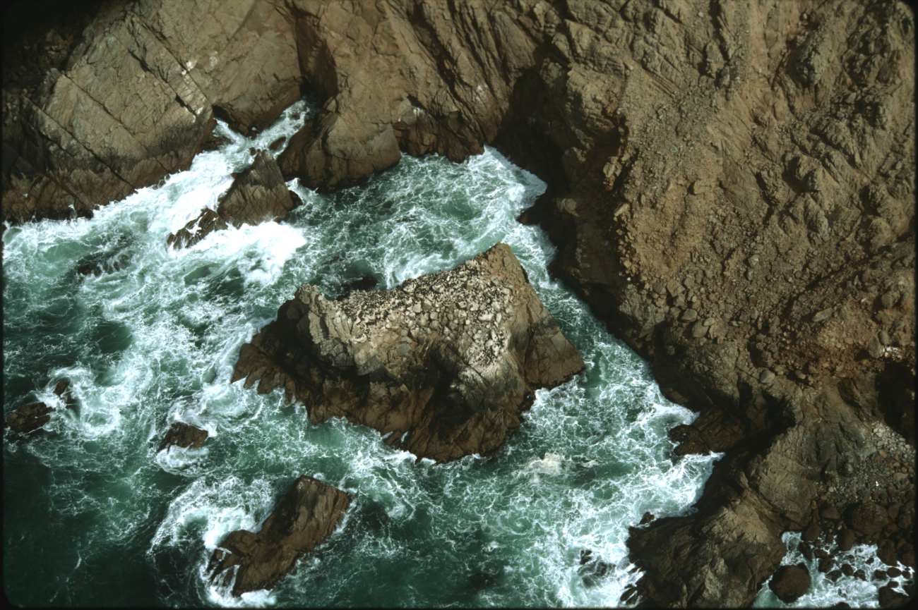 Rugged shoreline along Point Reyes (Image credit: Common Murre Restoration Project, USFWS) Rugged shoreline along Point Reyes