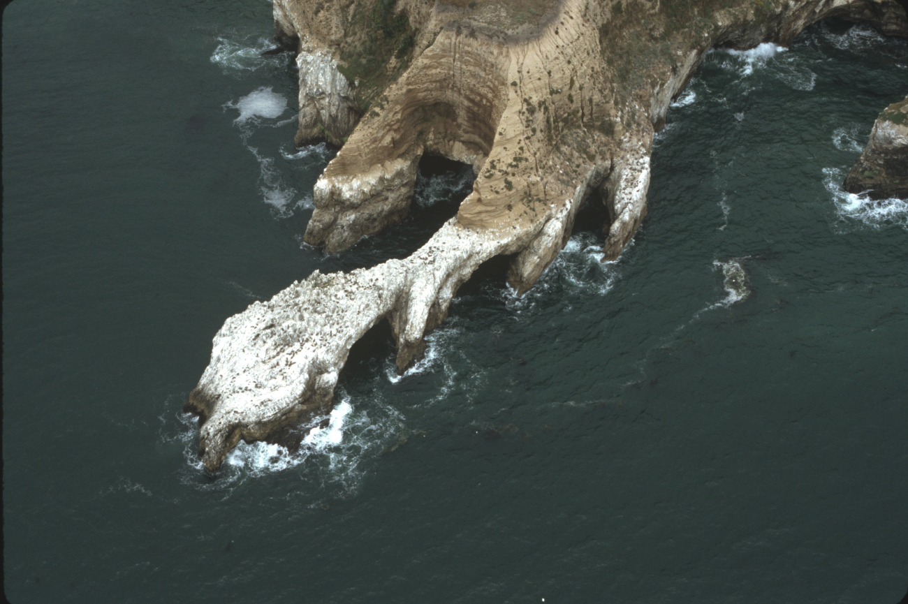 The bizarrely wave-sculpted headland at Point Resistance (or maybe not-so-resistant (Image credit: Common Murre Restoration Project, USFWS) The bizarrely wave-sculpted headland at Point Resistance (or maybe not-so-resistant