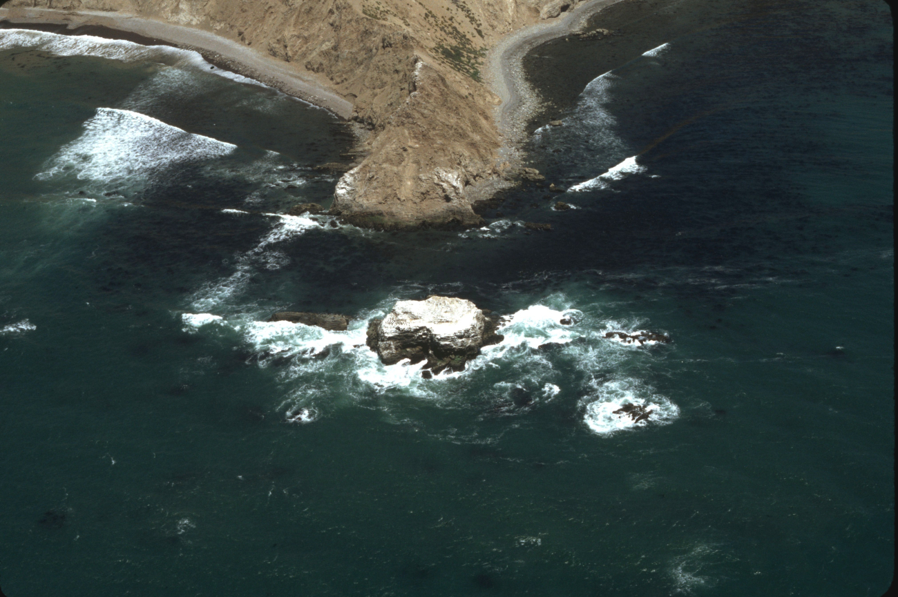 South Rock (Image credit: Common Murre Restoration Project, USFWS) South Rock