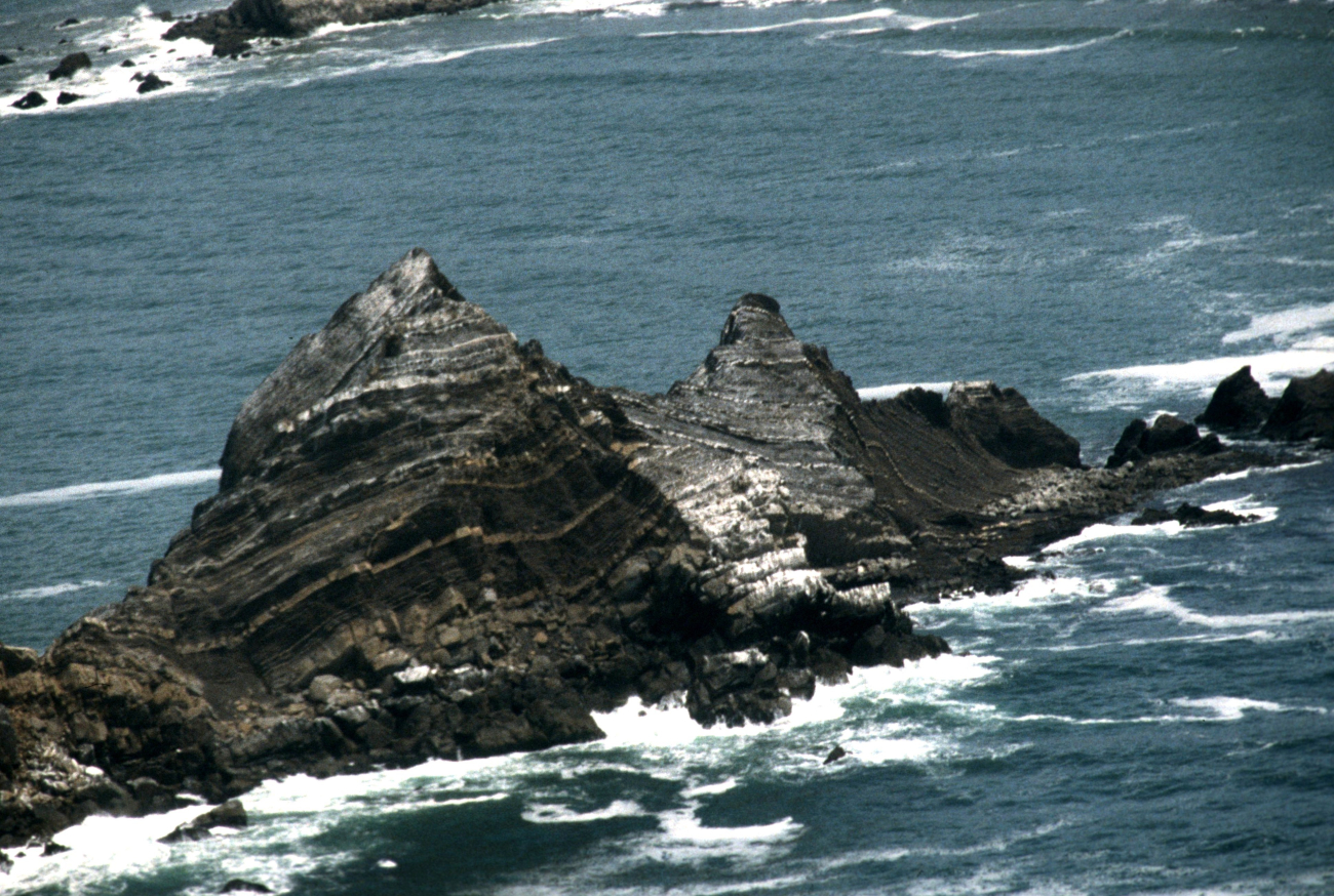 Tilted twisted beds on San Pedro Rock bear evidence to the tortured tectonichistory of coastal California (Image credit: Common Murre Restoration Project, USFWS) Tilted twisted beds on San Pedro Rock bear evidence to the tortured tectonichistory of coastal California