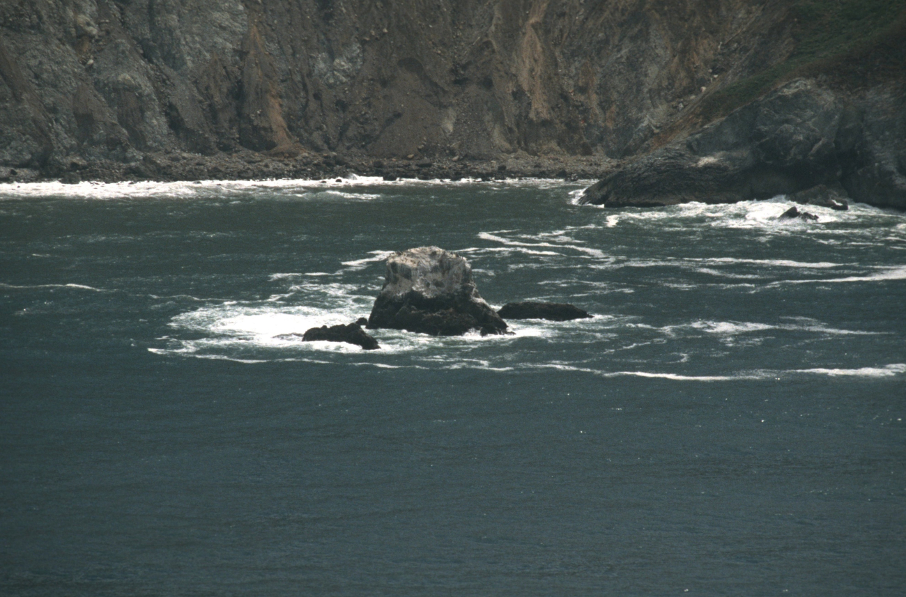 Rock offshore from Devil's Slide (Image credit: Common Murre Restoration Project, USFWS) Rock offshore from Devil's Slide