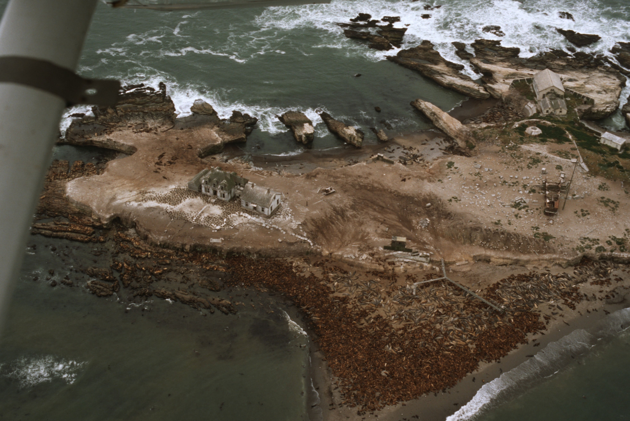 The old Coast Guard quarters on Ano Nuevo (Image credit: Common Murre Restoration Project, USFWS) The old Coast Guard quarters on Ano Nuevo