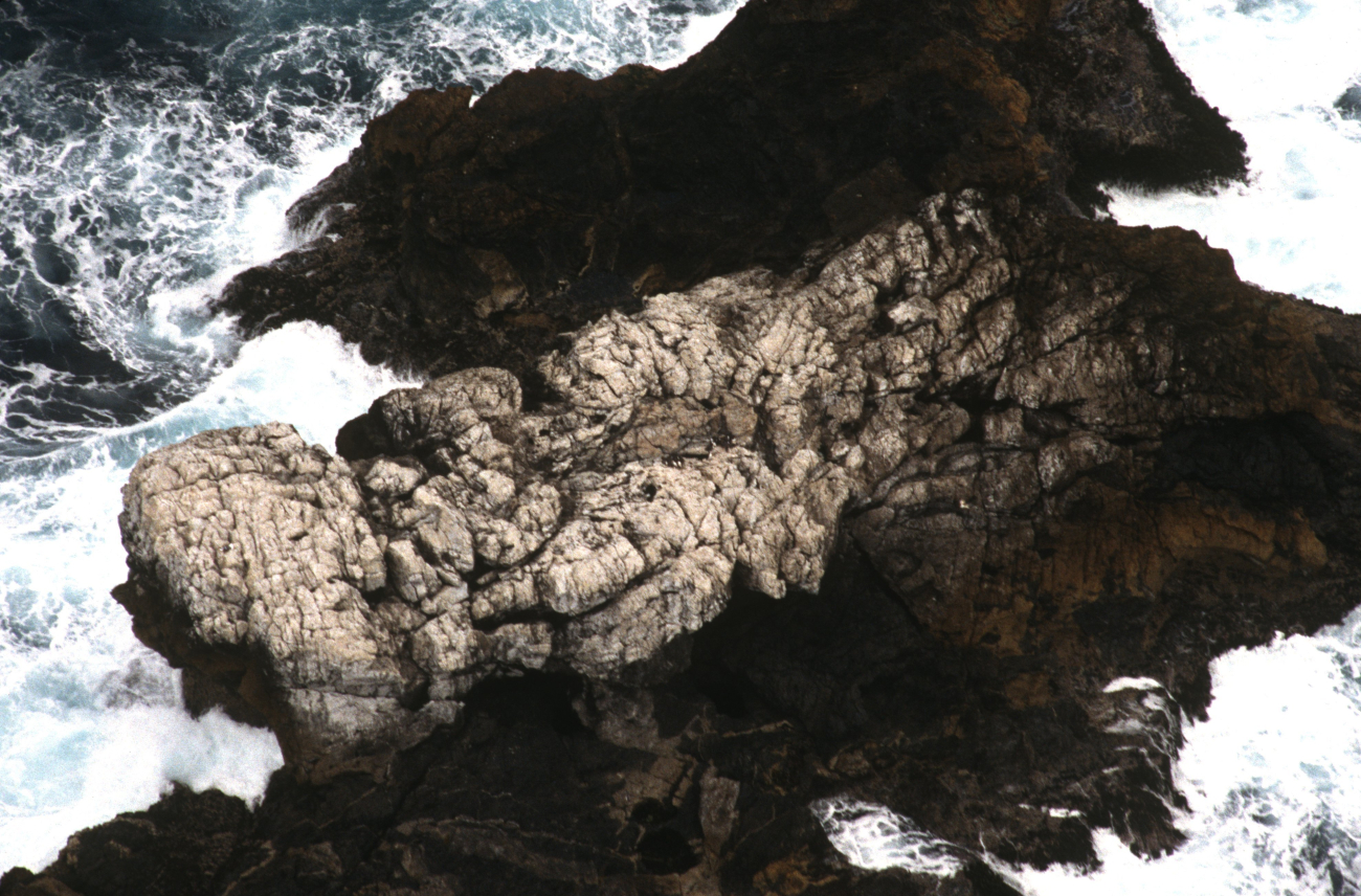 Castle Rocks (Image credit: Common Murre Restoration Project, USFWS) Castle Rocks