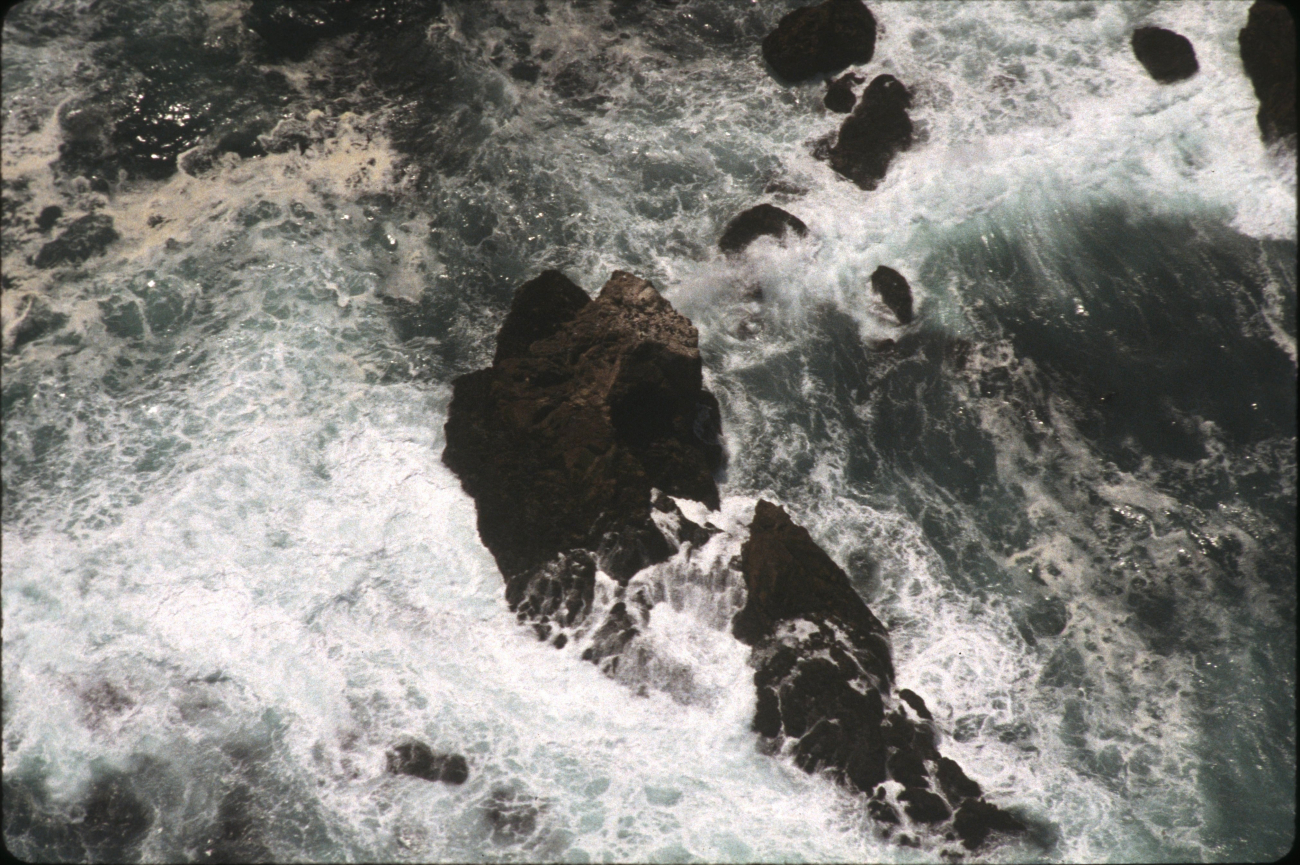 Offshore rocks (Image credit: Common Murre Restoration Project, USFWS) Offshore rocks
