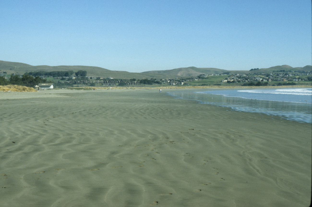 Doran Beach (Image credit: Beach Watch, NOAA, Farallones Marine Sanctuary Association) Doran Beach