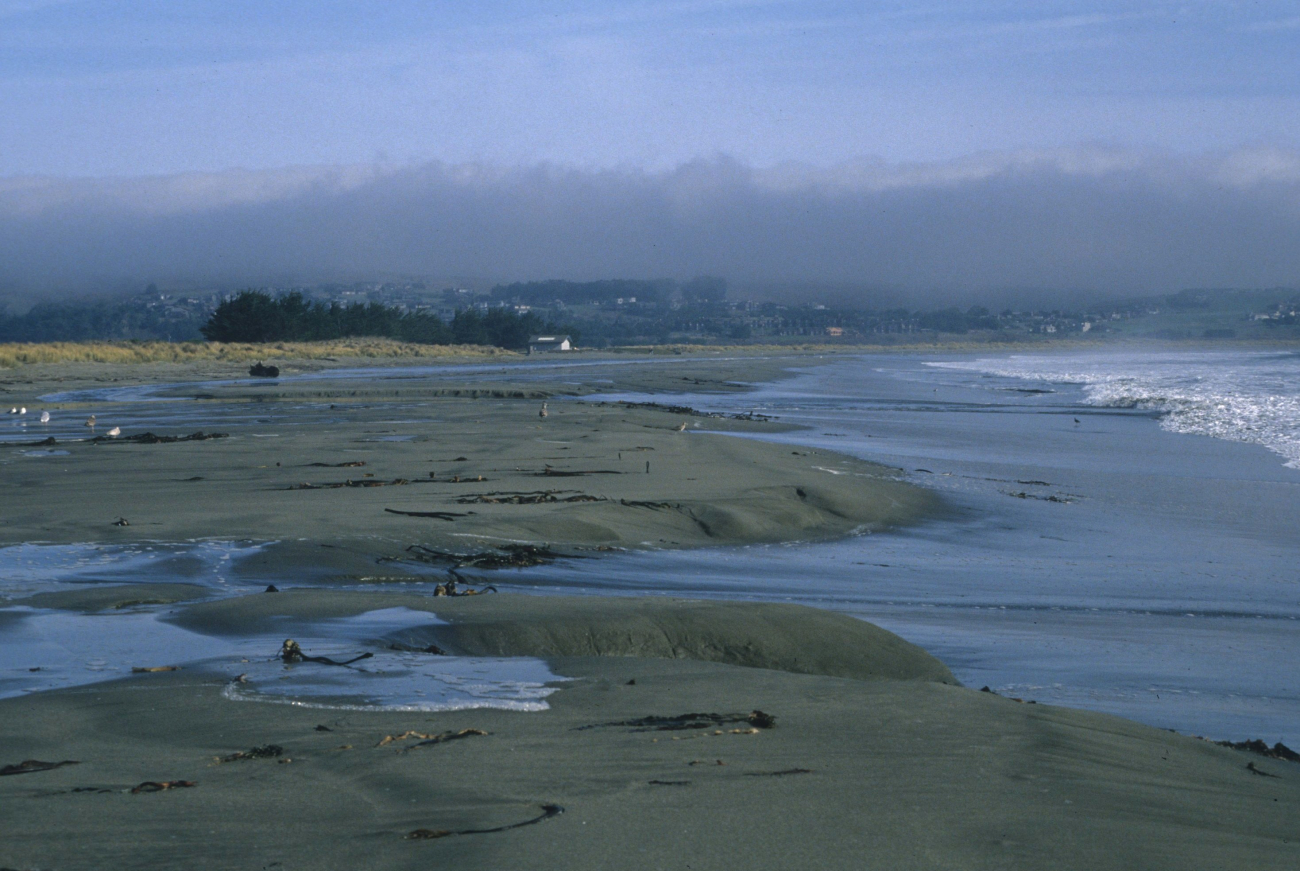 Doran Beach (Image credit: Beach Watch, NOAA, Farallones Marine Sanctuary Association) Doran Beach