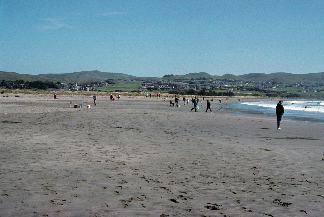 Doran Beach (Image credit: Beach Watch, NOAA, Farallones Marine Sanctuary Association) Doran Beach