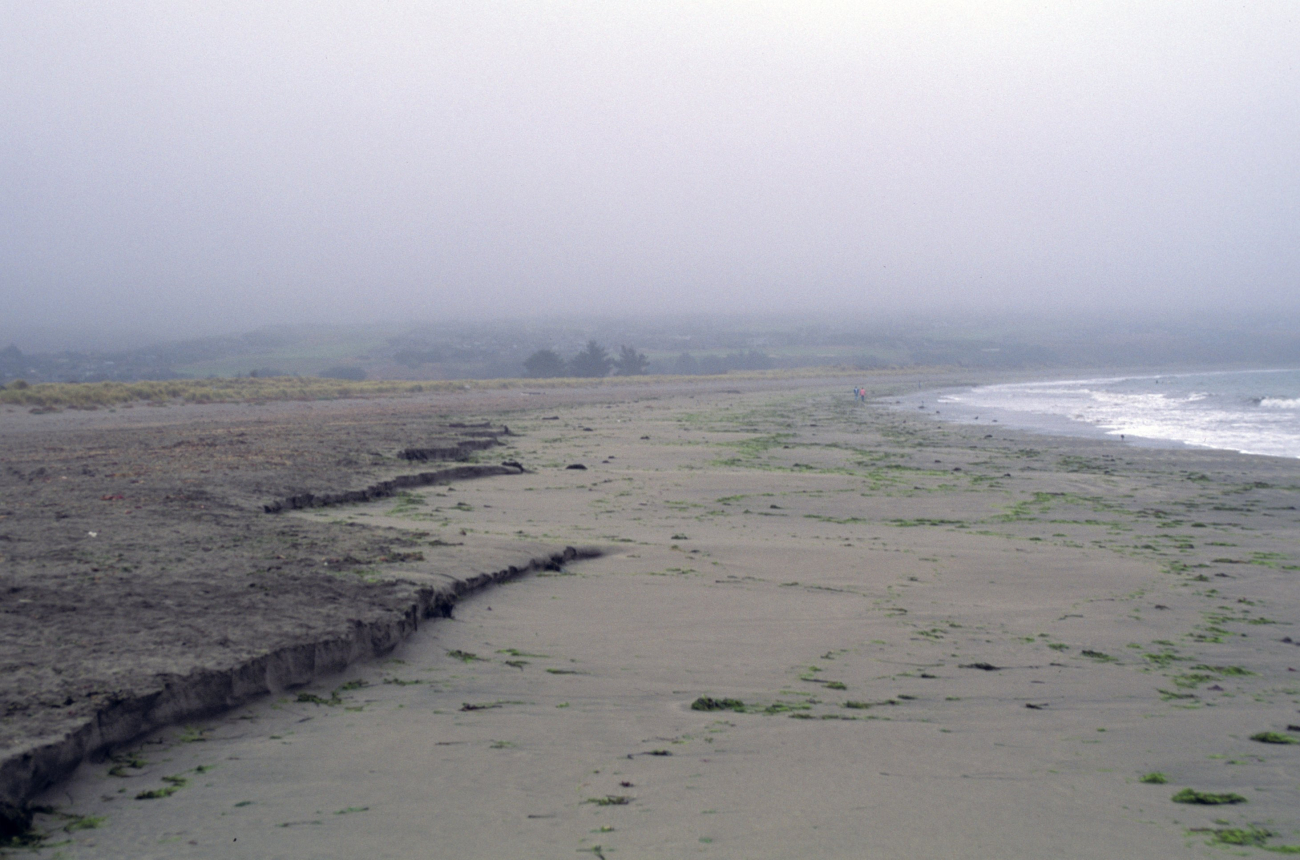 Doran Beach (Image credit: Beach Watch, NOAA, Farallones Marine Sanctuary Association) Doran Beach