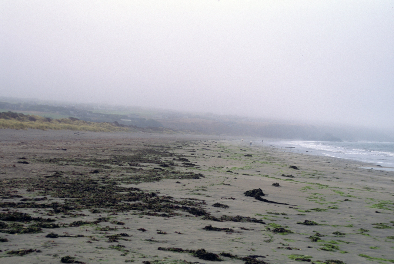 Doran Beach (Image credit: Beach Watch, NOAA, Farallones Marine Sanctuary Association) Doran Beach