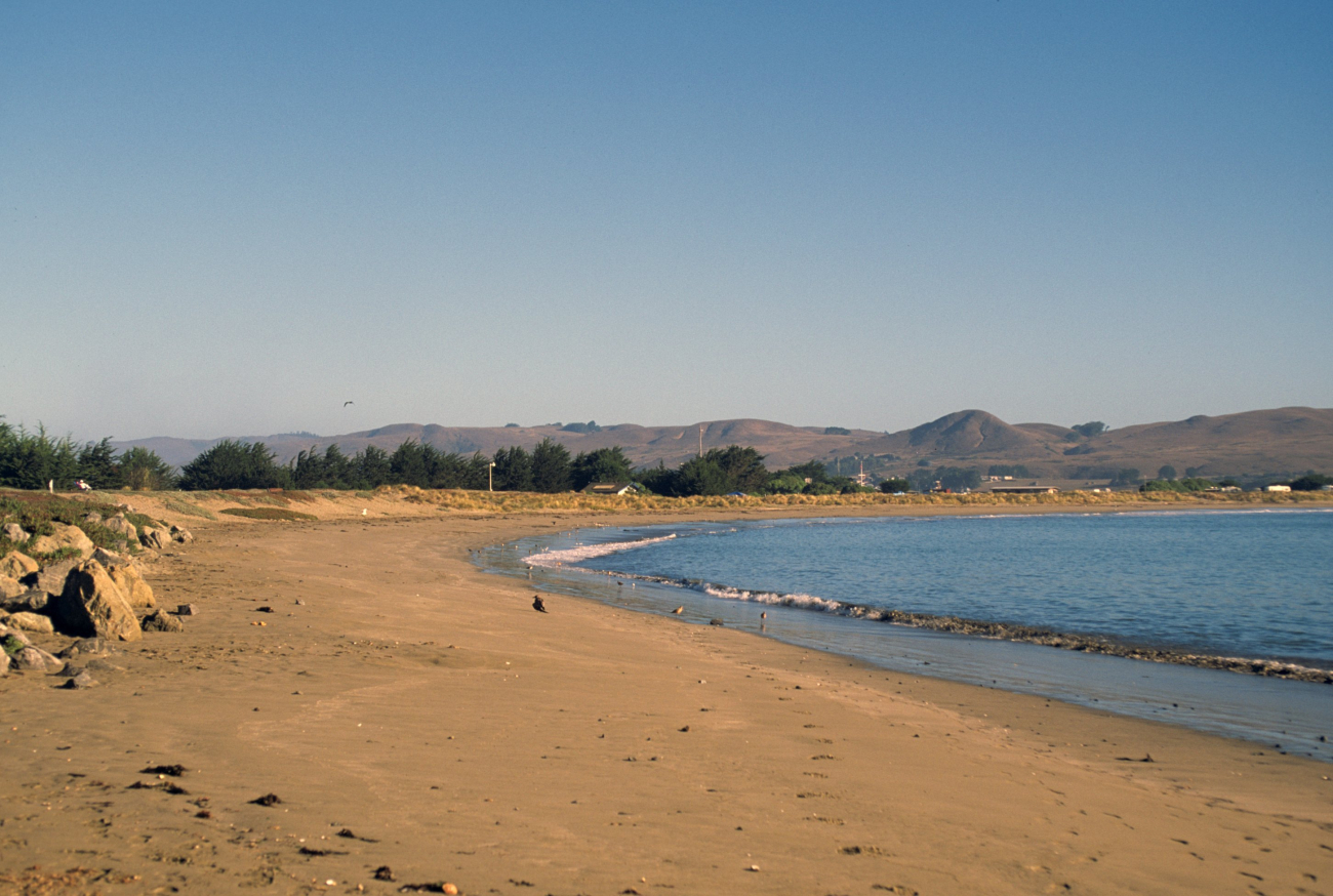 Doran Beach (Image credit: Beach Watch, NOAA, Farallones Marine Sanctuary Association) Doran Beach