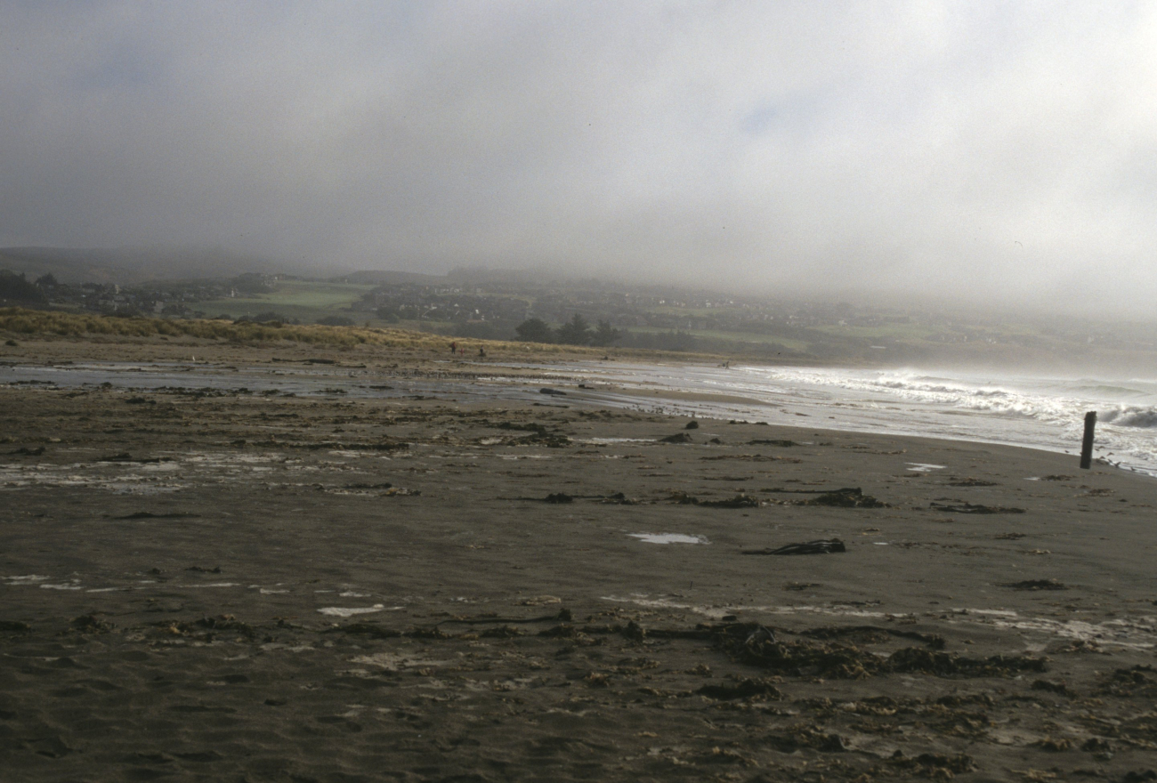Doran Beach (Image credit: Beach Watch, NOAA, Farallones Marine Sanctuary Association) Doran Beach