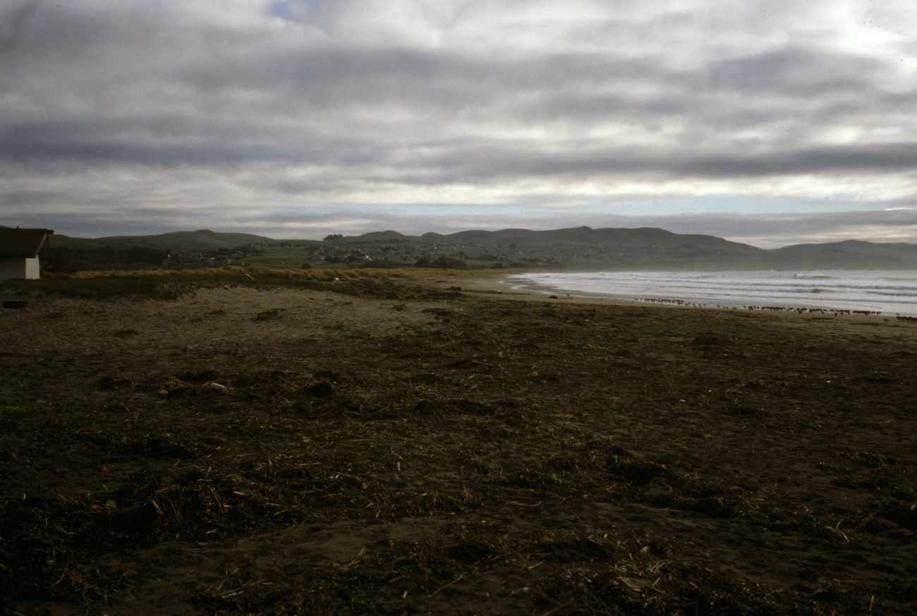 Doran Beach (Image credit: Beach Watch, NOAA, Farallones Marine Sanctuary Association) Doran Beach