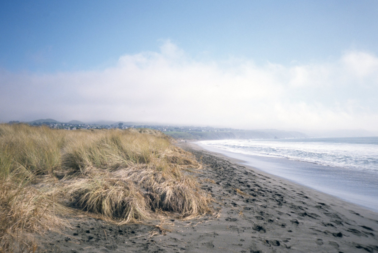 Doran Beach (Image credit: Beach Watch, NOAA, Farallones Marine Sanctuary Association) Doran Beach