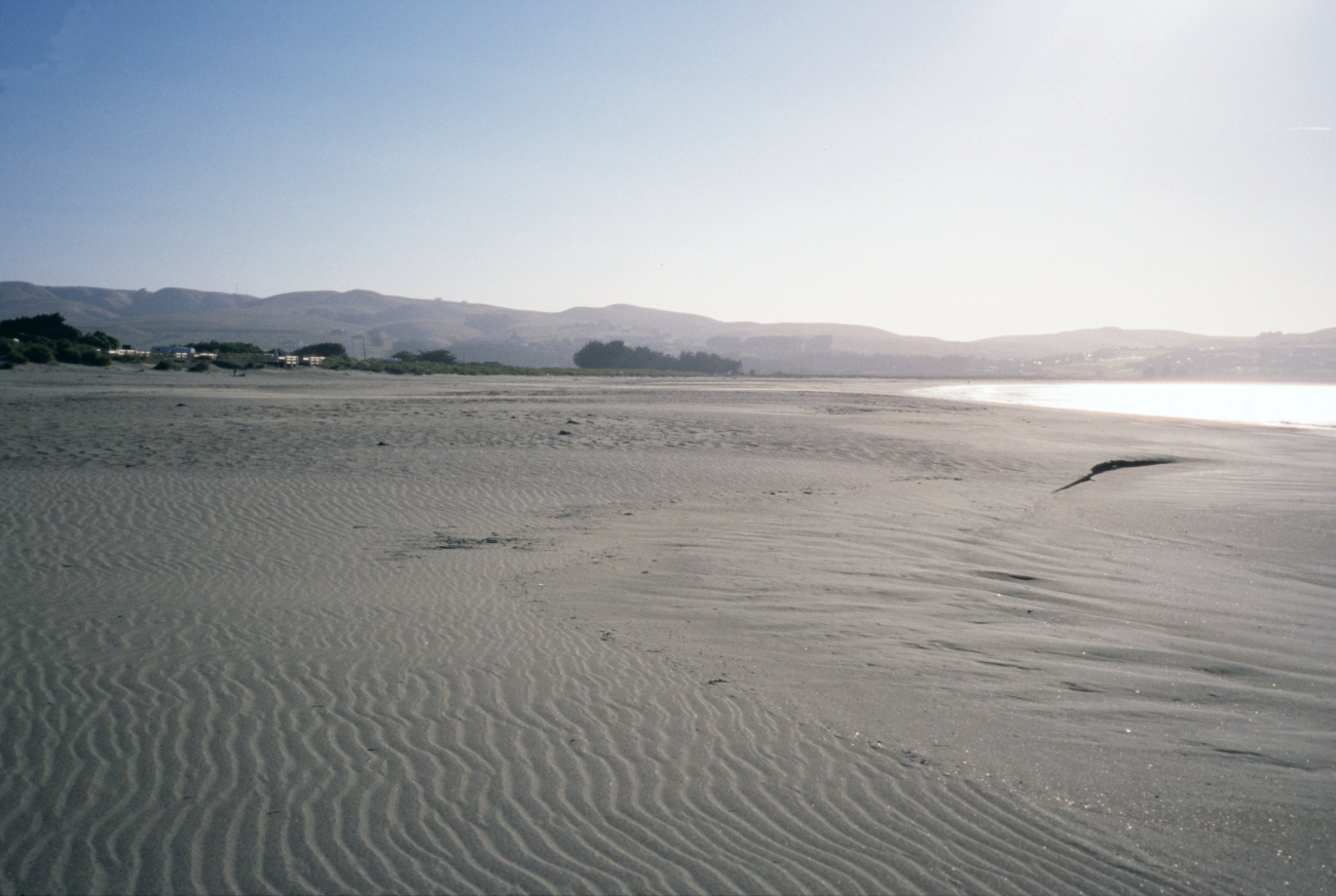 Doran Beach (Image credit: Beach Watch, NOAA, Farallones Marine Sanctuary Association) Doran Beach