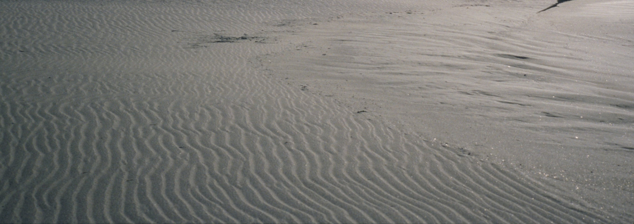Doran Beach (Image credit: Beach Watch, NOAA, Farallones Marine Sanctuary Association) Doran Beach