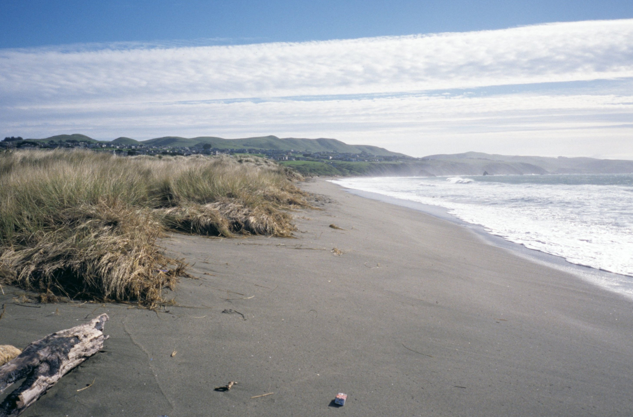 Doran Beach (Image credit: Beach Watch, NOAA, Farallones Marine Sanctuary Association) Doran Beach