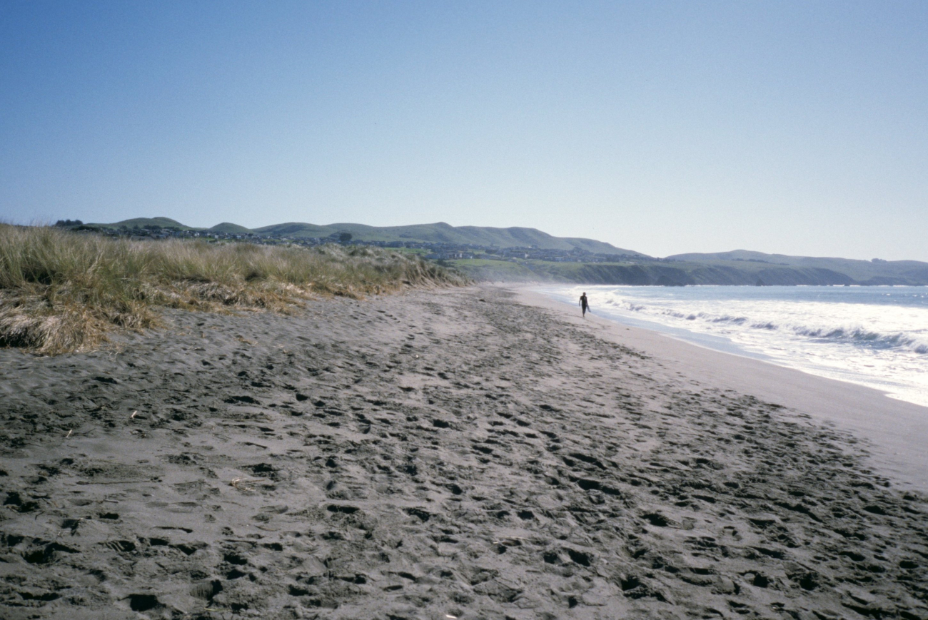 Doran Beach (Image credit: Beach Watch, NOAA, Farallones Marine Sanctuary Association) Doran Beach