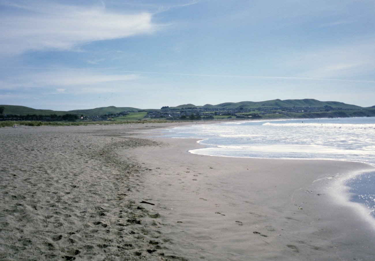 Doran Beach (Image credit: Beach Watch, NOAA, Farallones Marine Sanctuary Association) Doran Beach