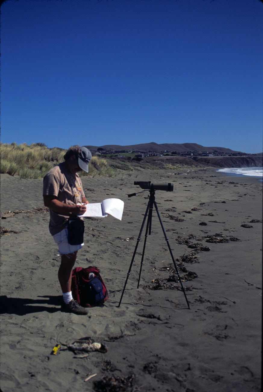 Doran Beach (Image credit: Beach Watch, NOAA, Farallones Marine Sanctuary Association) Doran Beach