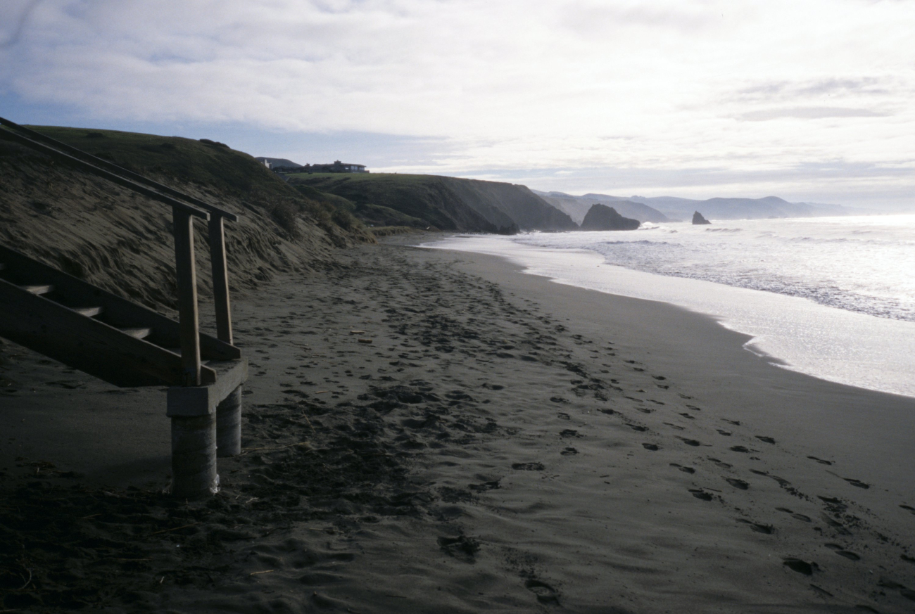 Doran Beach (Image credit: Beach Watch, NOAA, Farallones Marine Sanctuary Association) Doran Beach