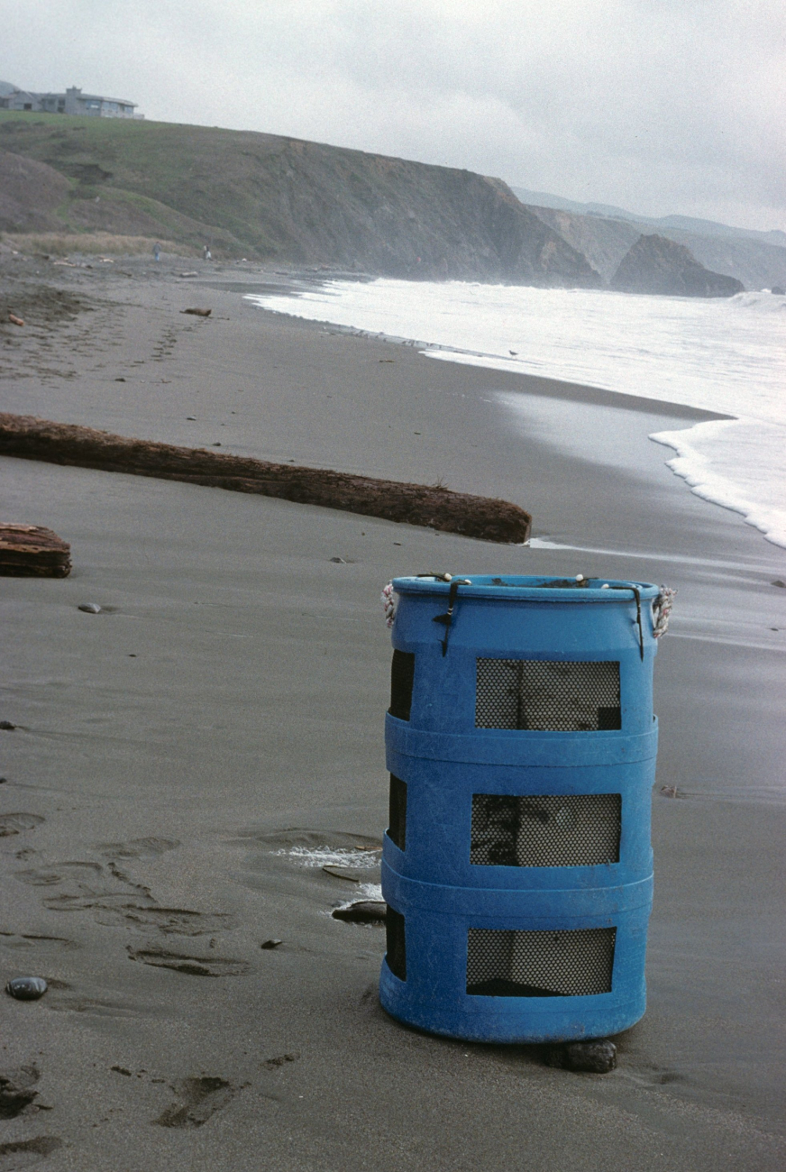 Doran Beach (Image credit: Beach Watch, NOAA, Farallones Marine Sanctuary Association) Doran Beach