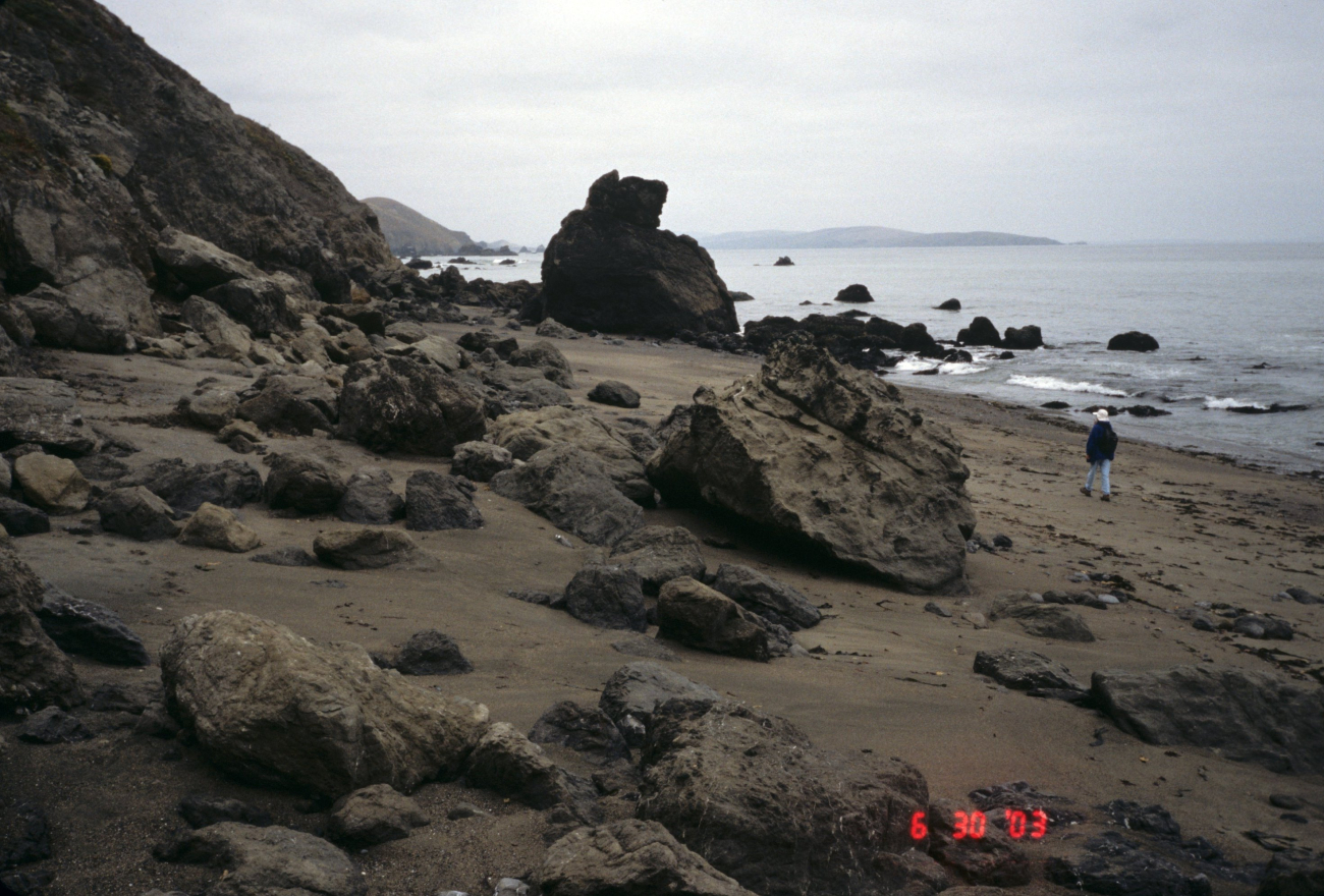 Pinnacle Gulch Beach (Image credit: Beach Watch, NOAA, Farallones Marine Sanctuary Association) Pinnacle Gulch Beach
