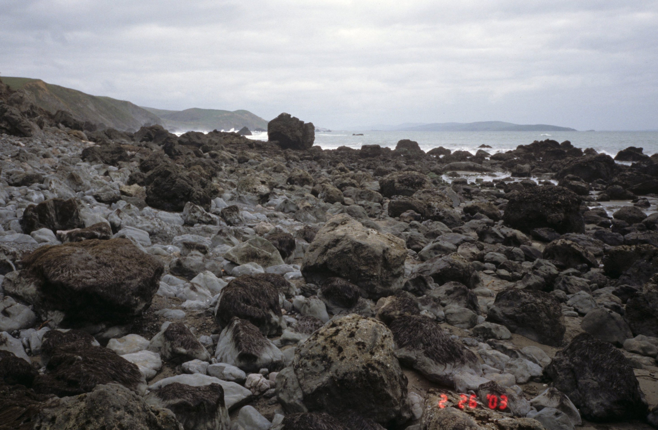 Pinnacle Gulch Beach (Image credit: Beach Watch, NOAA, Farallones Marine Sanctuary Association) Pinnacle Gulch Beach