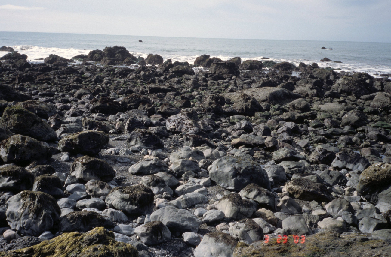 Pinnacle Gulch Beach (Image credit: Beach Watch, NOAA, Farallones Marine Sanctuary Association) Pinnacle Gulch Beach