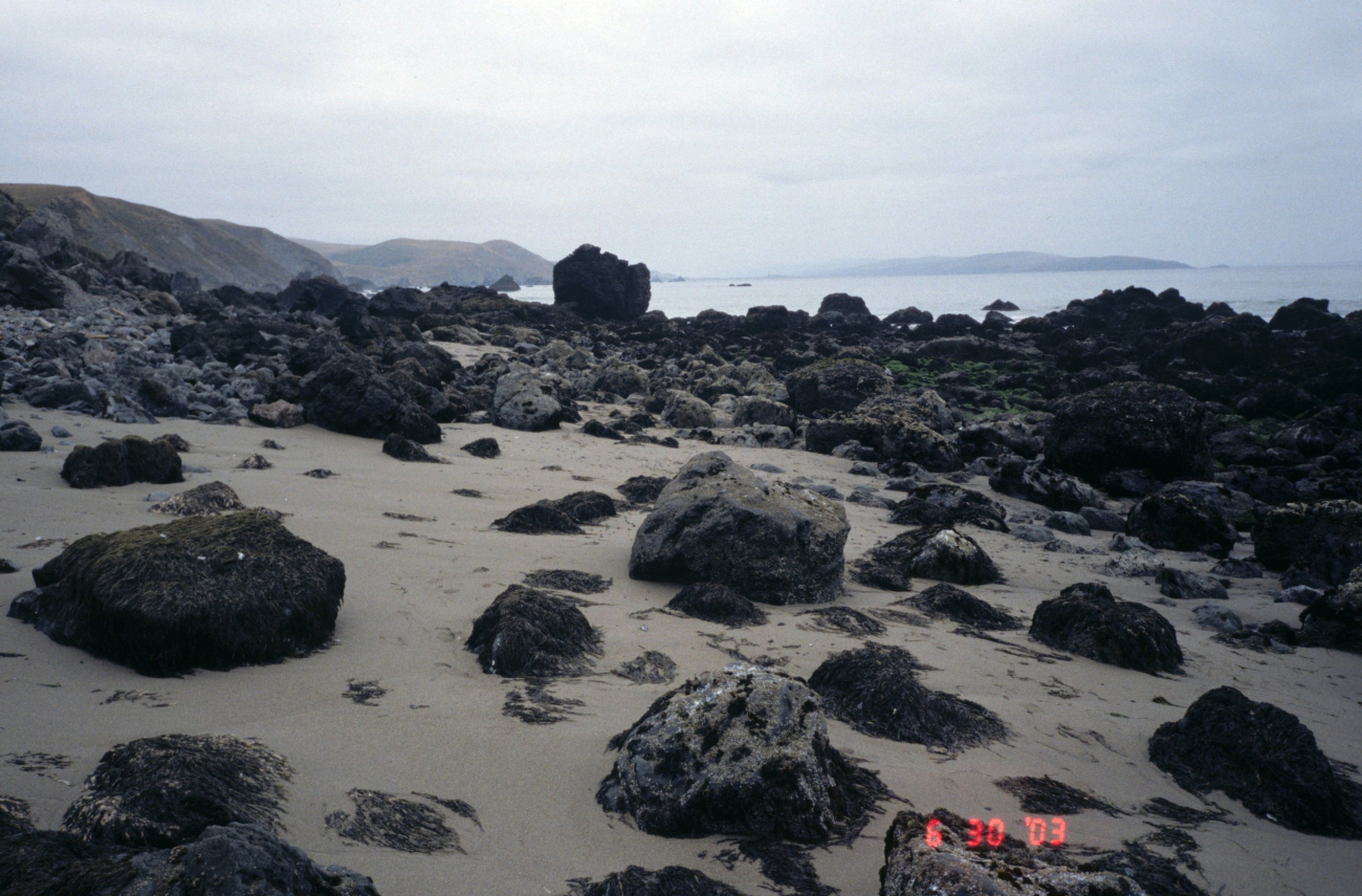 Pinnacle Gulch Beach (Image credit: Beach Watch, NOAA, Farallones Marine Sanctuary Association) Pinnacle Gulch Beach