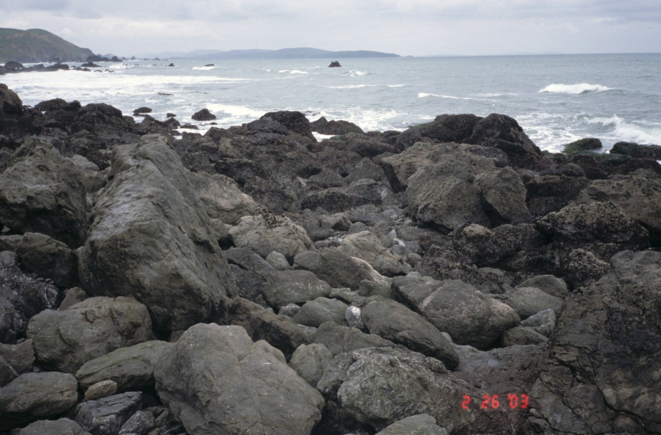 Pinnacle Gulch Beach (Image credit: Beach Watch, NOAA, Farallones Marine Sanctuary Association) Pinnacle Gulch Beach
