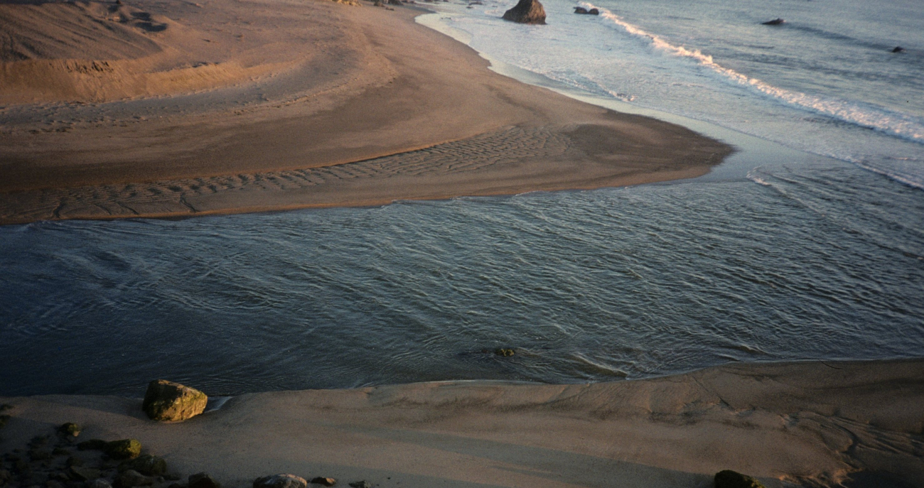 Pinnacle Gulch Beach (Image credit: Beach Watch, NOAA, Farallones Marine Sanctuary Association) Pinnacle Gulch Beach