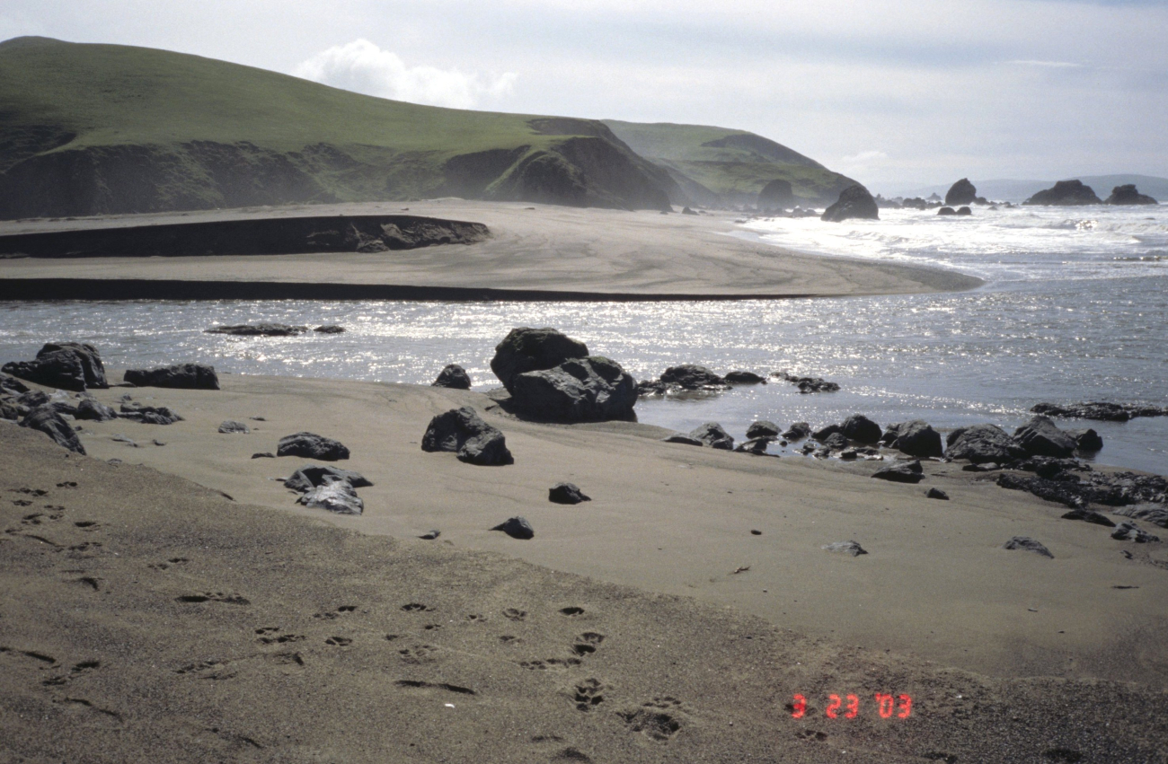 Pinnacle Gulch Beach (Image credit: Beach Watch, NOAA, Farallones Marine Sanctuary Association) Pinnacle Gulch Beach
