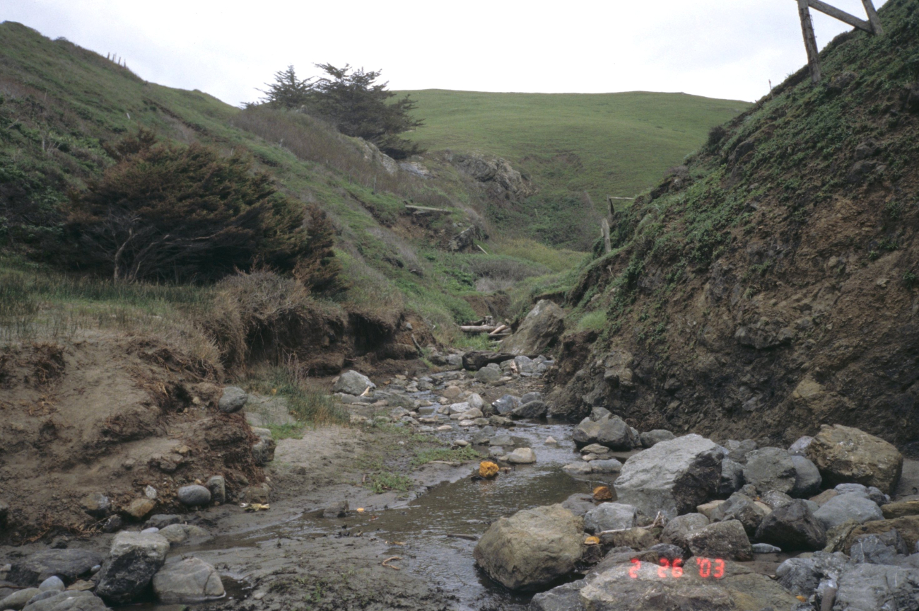Pinnacle Gulch Beach (Image credit: Beach Watch, NOAA, Farallones Marine Sanctuary Association) Pinnacle Gulch Beach