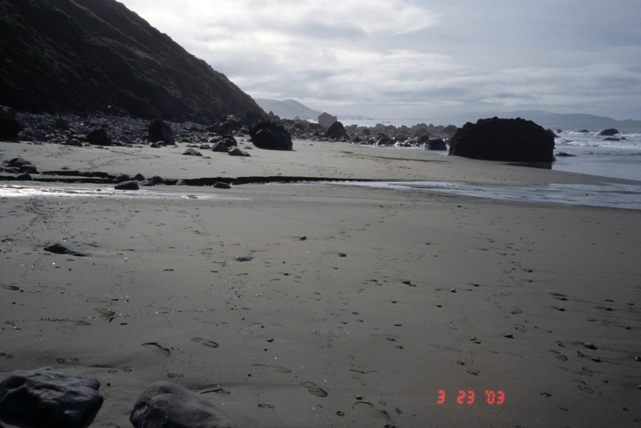 Pinnacle Gulch Beach (Image credit: Beach Watch, NOAA, Farallones Marine Sanctuary Association) Pinnacle Gulch Beach