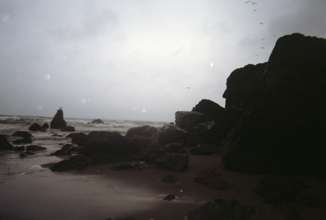 Dillon Beach (Image credit: Beach Watch, NOAA, Farallones Marine Sanctuary Association) Dillon Beach