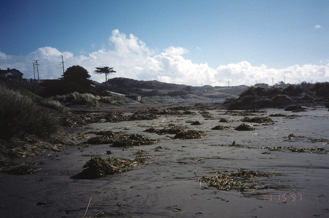 Dillon Beach (Image credit: Beach Watch, NOAA, Farallones Marine Sanctuary Association) Dillon Beach
