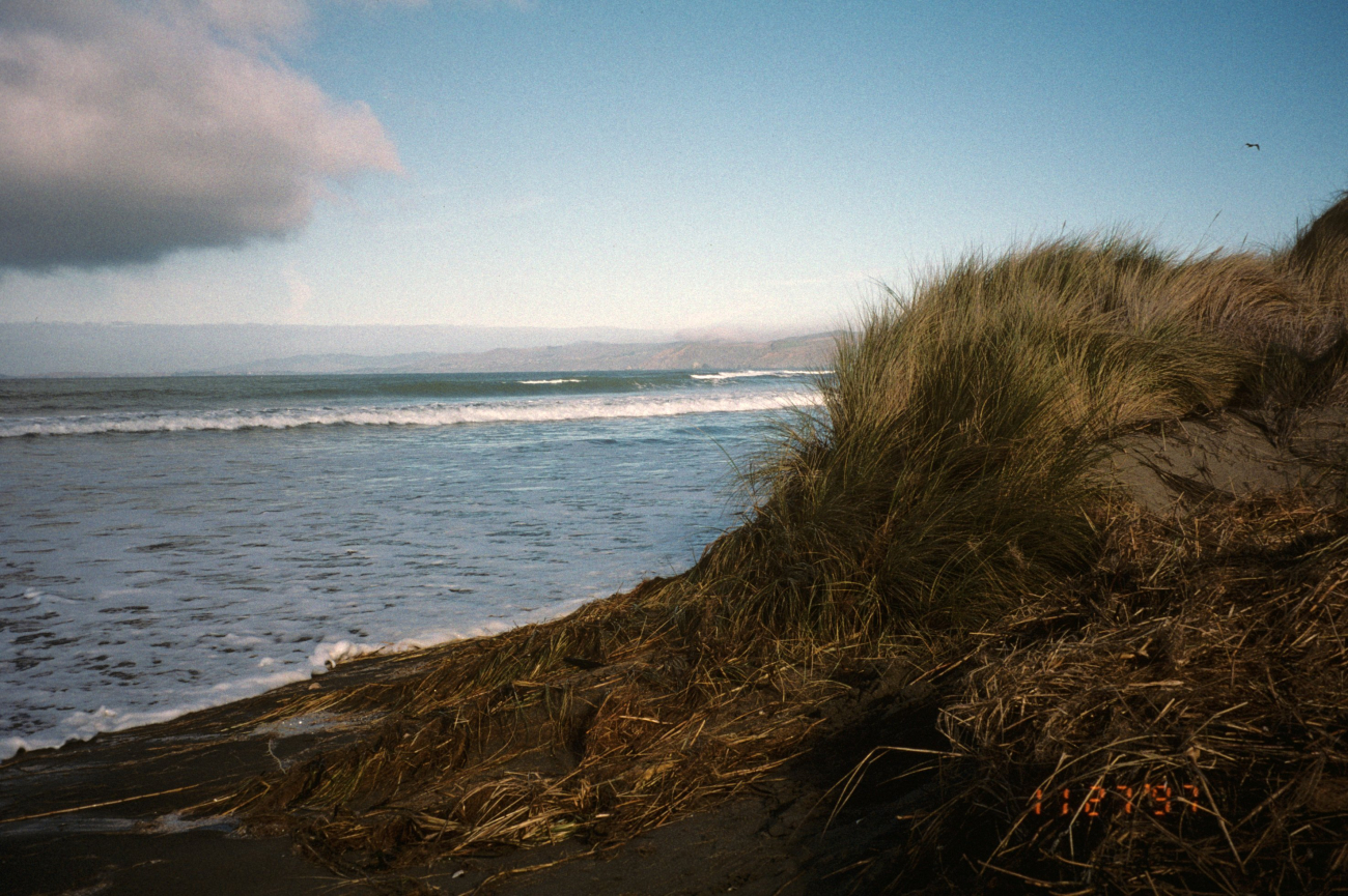 Dillon Beach (Image credit: Beach Watch, NOAA, Farallones Marine Sanctuary Association) Dillon Beach