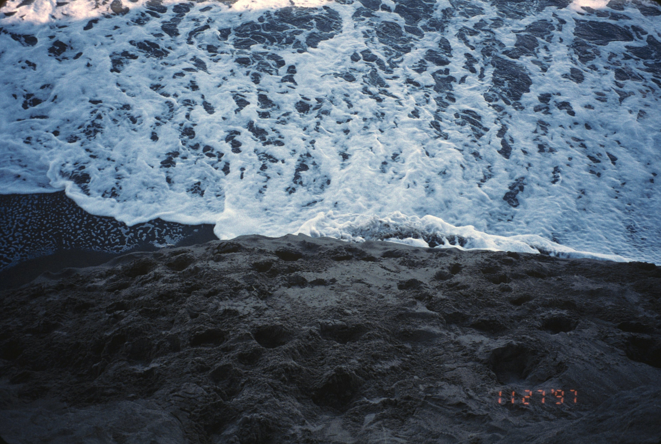 Dillon Beach (Image credit: Beach Watch, NOAA, Farallones Marine Sanctuary Association) Dillon Beach