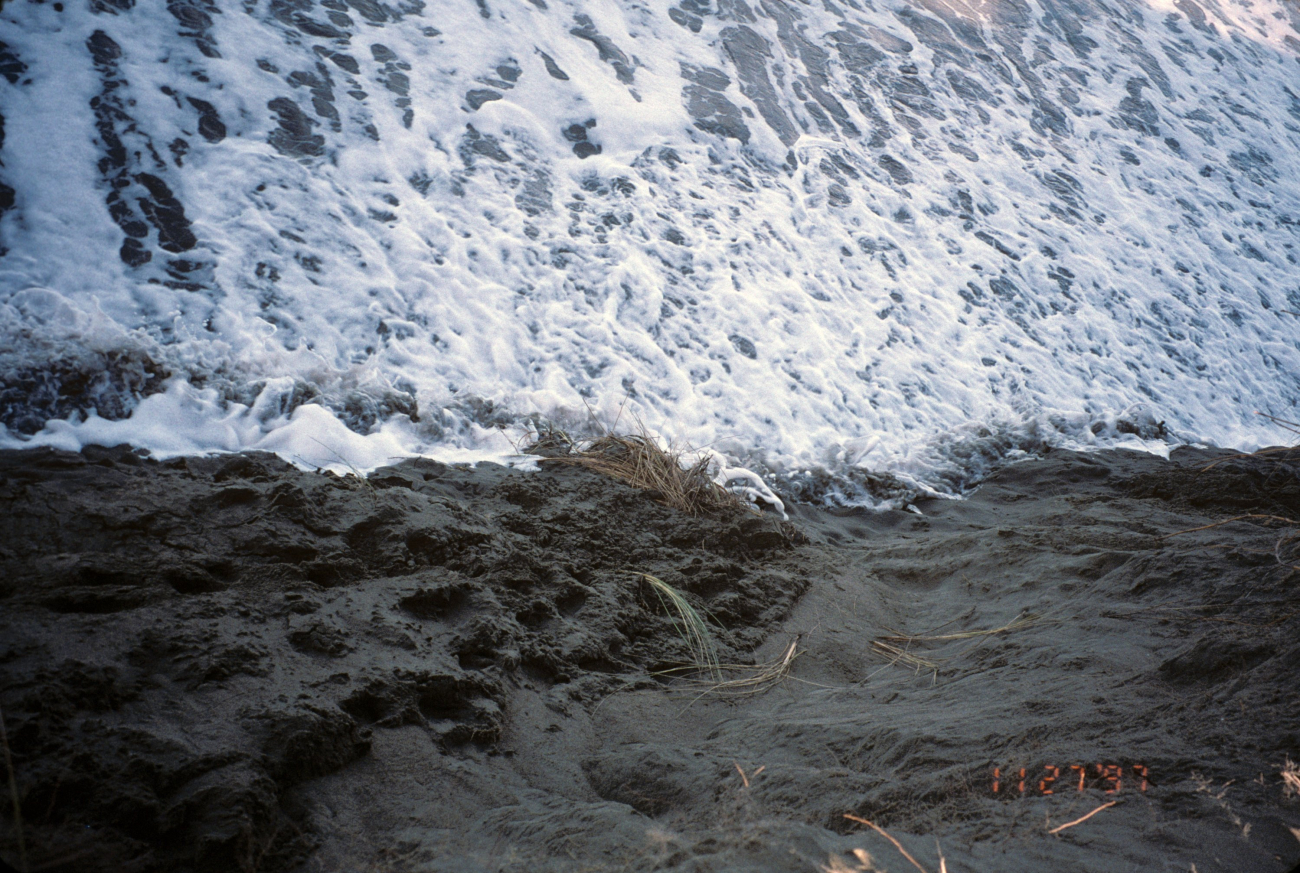 Dillon Beach (Image credit: Beach Watch, NOAA, Farallones Marine Sanctuary Association) Dillon Beach