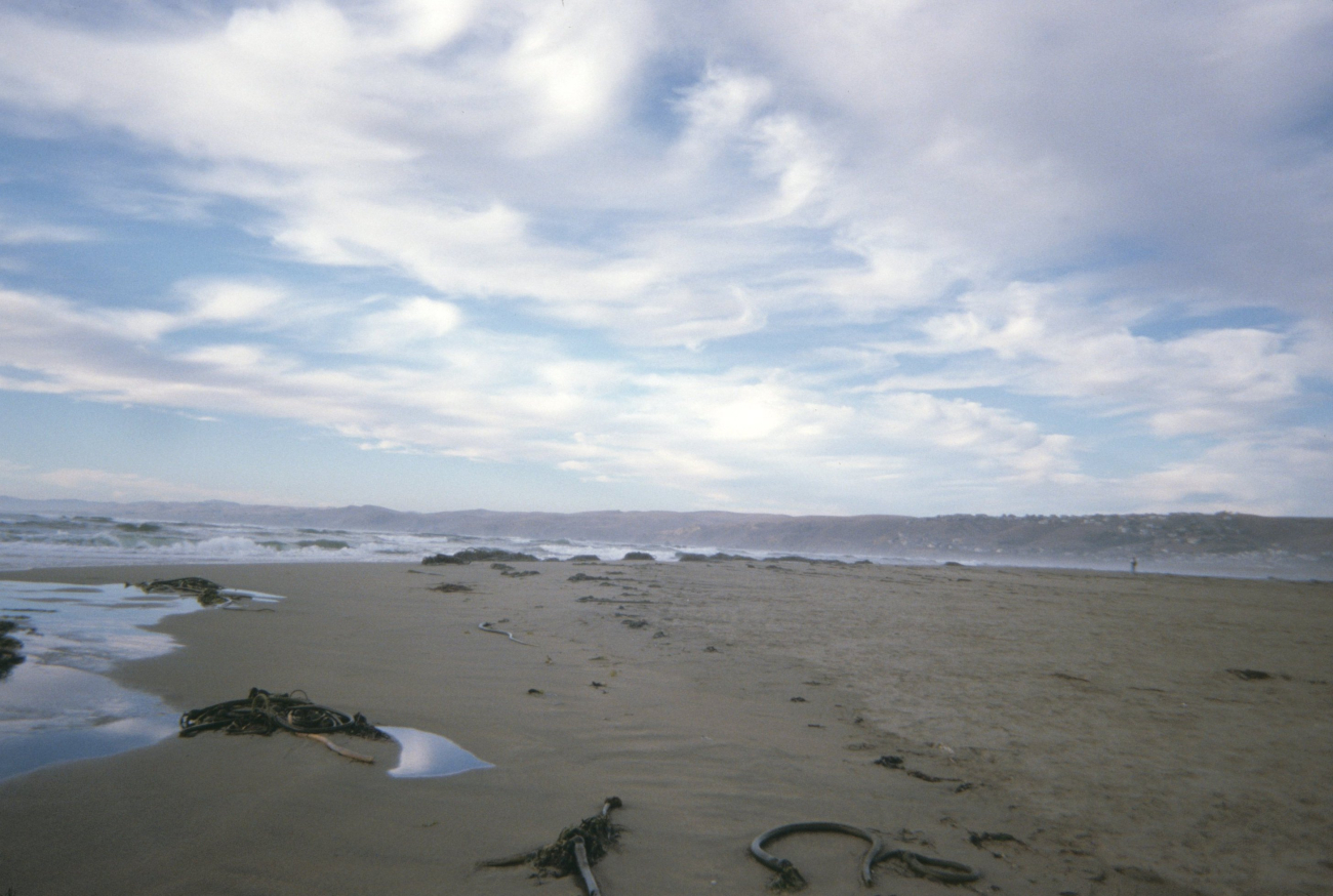 Dillon Beach (Image credit: Beach Watch, NOAA, Farallones Marine Sanctuary Association) Dillon Beach